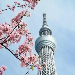 https://nihombashi-muromachi-bay.alltokyohotels.com